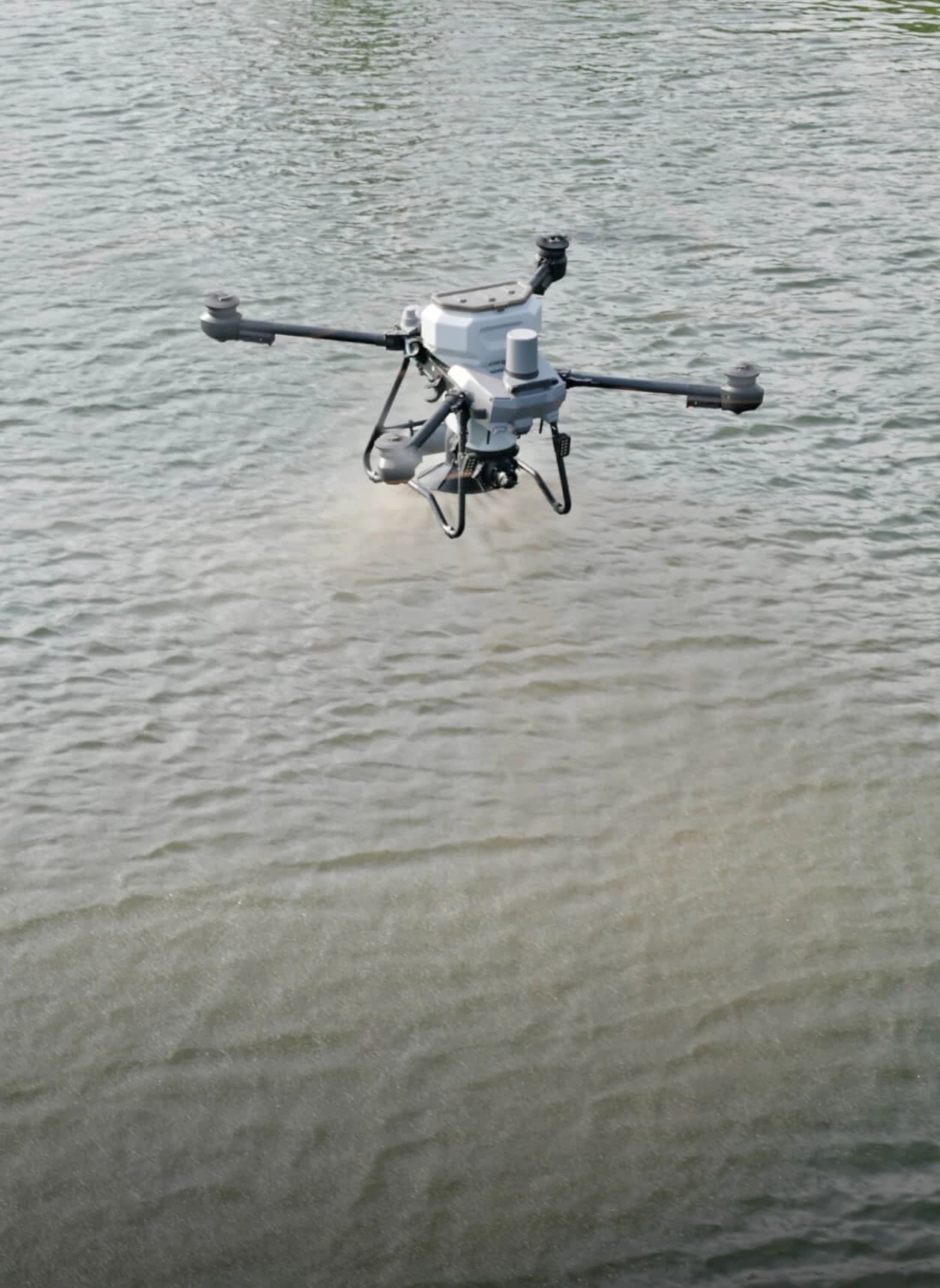 Distribuição de ração